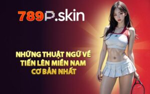 Những thuật ngữ về tiến lên miền Nam cơ bản nhất