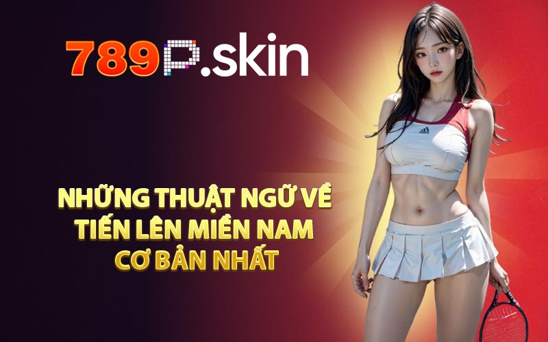 Những thuật ngữ về tiến lên miền Nam cơ bản nhất